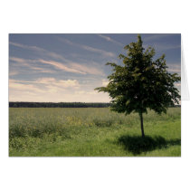 Solitaire Greeting Cards