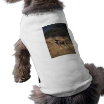 Solitary Antelope pet clothing