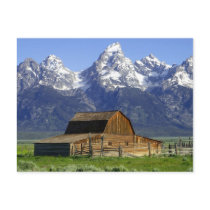 Solitary Barn at Grand Tetons Postcards