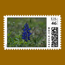 Solitary Bluebonnet Stamp stamps