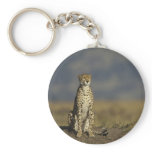 Solitary Cheetah Keychain