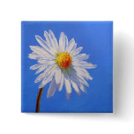 Solitary Daisy buttons