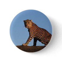 Solitary Leopard buttons by alternateworlds Solitary Leopard buttons
