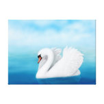 Solitary Mute Swan Wrapped Canvas Canvas Prints