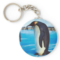 Solitary Penguin Key Chain