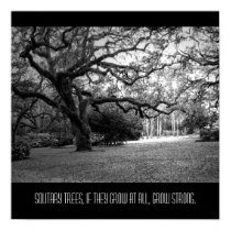 Solitary Tree posters