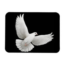 Solitary White Dove Premium Magnet