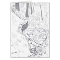 Solitude card