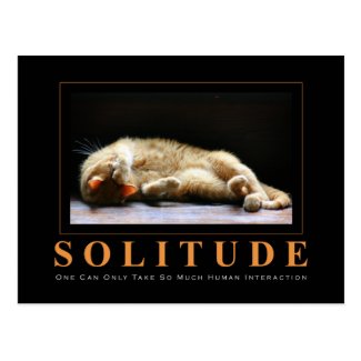 SOLITUDE Cat Photography Anti-Motivational Postcard