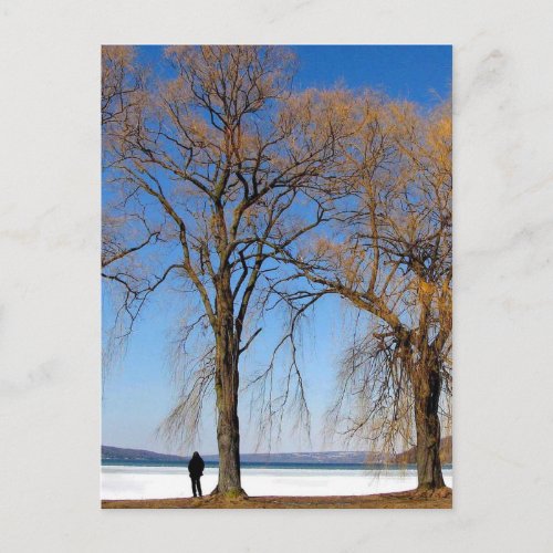 Solitude - Cayuga Lake postcard