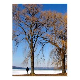 Solitude - Cayuga Lake