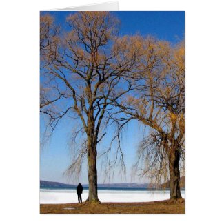 Solitude Greeting Cards