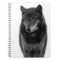 "Solitude" Notebook