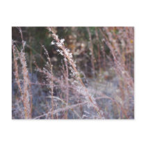 solitude postcards