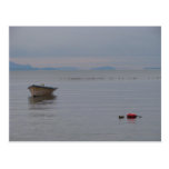Solitude Postcard