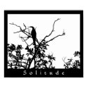 Solitude posters