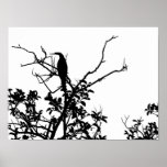 Solitude posters