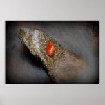 Solitude Print