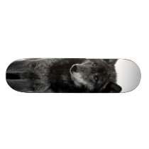"Solitude" Skateboard skateboards