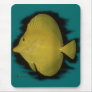 Solitude-YellowTang Mouse Mat