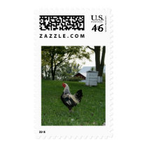 Solo Chicken postage by sonje_gejji Solo Chicken postage