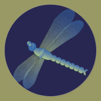Solo Dragonfly stickers