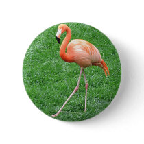 Solo Flamingo buttons