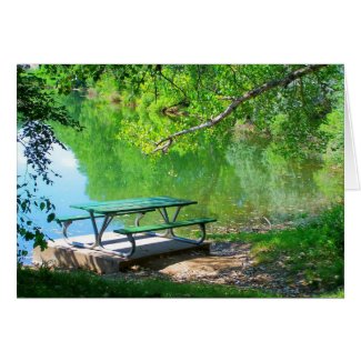 solo picnic table CARD card