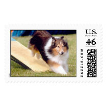 solo postage
