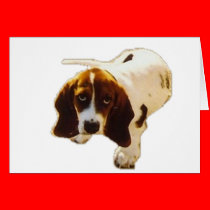 Solo Puppy_Look cards