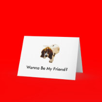 Solo Puppy_Look, Wanna Be My Friend? cards