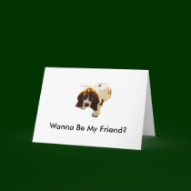 Solo Puppy_Look, Wanna Be My Friend? cards by mydoggieworld Solo Puppy_Look, Wanna Be My Friend? cards