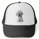 Solomon - Cartoon Mesh Hat