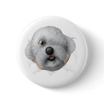 solomon chestburster buttons