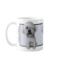 solomon mug