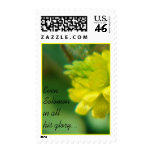 Solomon's Glory Stamp