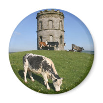Solomon's Temple fridge magnet