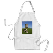 Solon's Temple cook's apron
