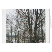 Solstice Card