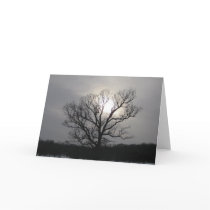 Solstice Sun I Card