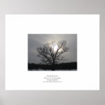 Solstice Sun I Posters