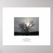 Solstice Sun I Posters