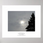 Solstice Sun II Print