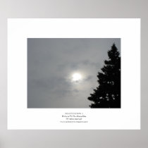 Solstice Sun II Print