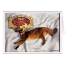Somali Cat Thanksgiving Card cards