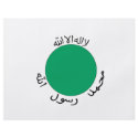 Somaliland Flag flyers by flagshirts Somaliland Flag flyers