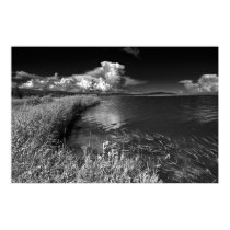 Sombre Serenity posters