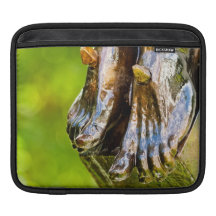 some believe in green sleeve for iPads
