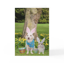 Some Bunnies Love You! Card