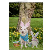 Some Bunnies Love You! Card
